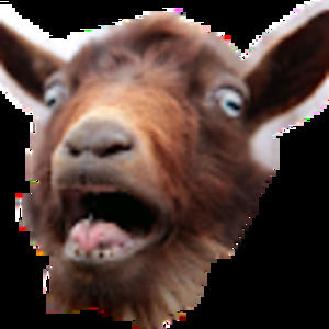 Meet your Posher, Cornbread